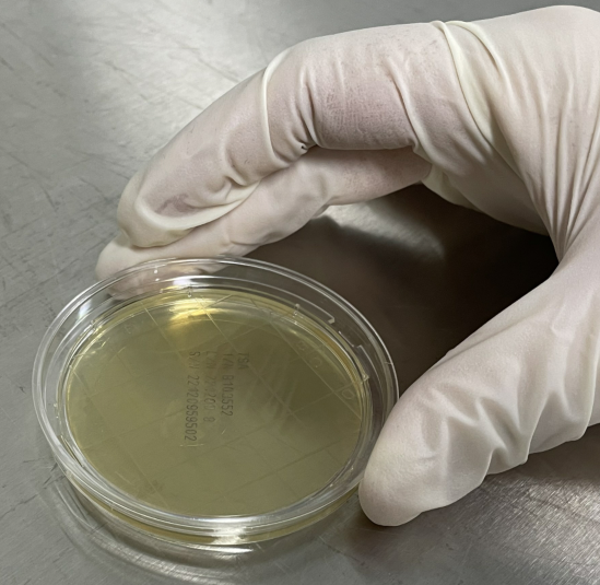 嬰配乳粉生產(chǎn)企業(yè)環(huán)境微生物監(jiān)測(一)——表面微生物采樣 嬰配乳粉生產(chǎn)企業(yè)環(huán)境微生物監(jiān)測(一)——表面微生物采樣