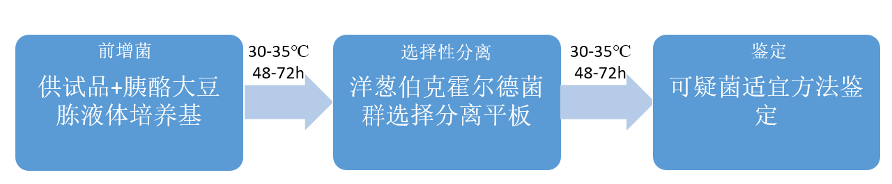 制藥行業(yè)中的隱形殺手-洋蔥伯克霍爾德菌群 制藥行業(yè)中的隱形殺手-洋蔥伯克霍爾德菌群