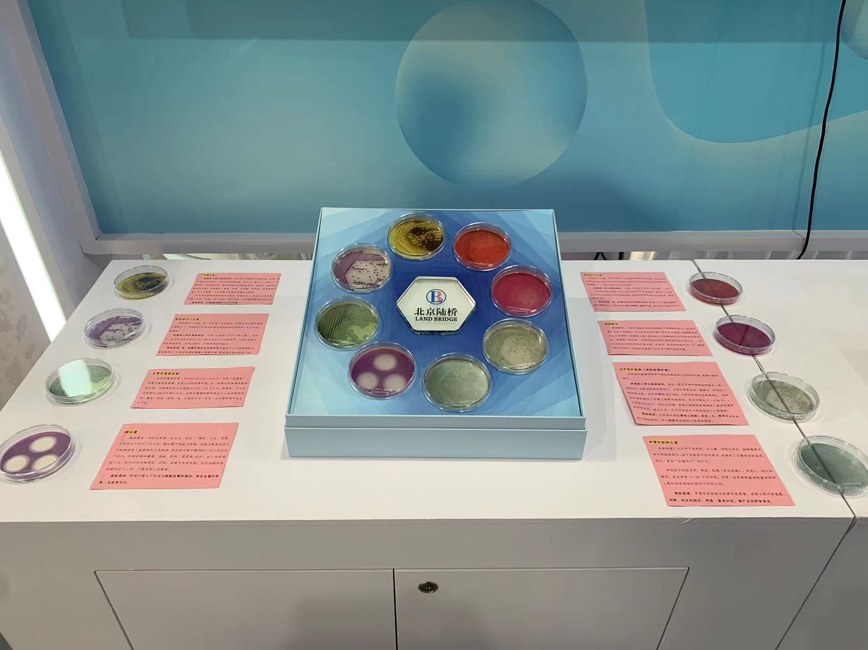 北京陸橋與您相約全國(guó)科普日 助力國(guó)家科技,守護(hù)“舌尖上的安全” 北京陸橋與您相約全國(guó)科普日 助力國(guó)家科技,守護(hù)“舌尖上的安全”