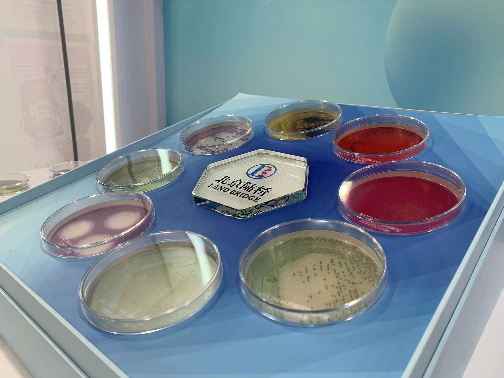 北京陸橋與您相約全國(guó)科普日 助力國(guó)家科技,守護(hù)“舌尖上的安全” 北京陸橋與您相約全國(guó)科普日 助力國(guó)家科技,守護(hù)“舌尖上的安全”