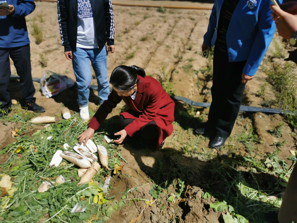 “智惠行動·百會百縣鄉(xiāng)村行” 北京陸橋助力農(nóng)牧產(chǎn)品高質量發(fā)展 “智惠行動·百會百縣鄉(xiāng)村行” 北京陸橋助力農(nóng)牧產(chǎn)品高質量發(fā)展