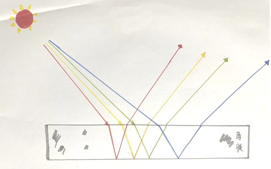 自帶“光環(huán)”的菌——唐菖蒲伯克霍爾德氏菌(下) 自帶“光環(huán)”的菌——唐菖蒲伯克霍爾德氏菌(下)