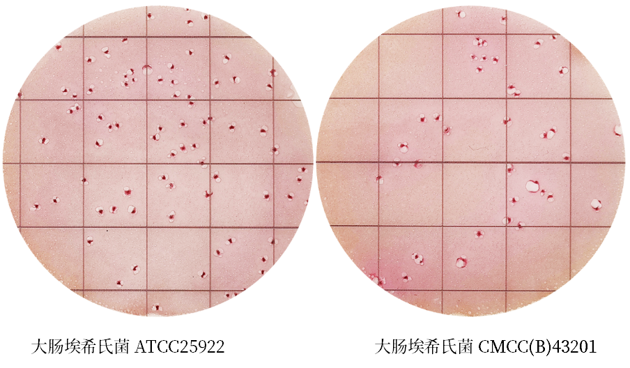 陸橋推出新大腸菌群測試片:符合GB4789.3-2025 陸橋推出新大腸菌群測試片:符合GB4789.3-2025