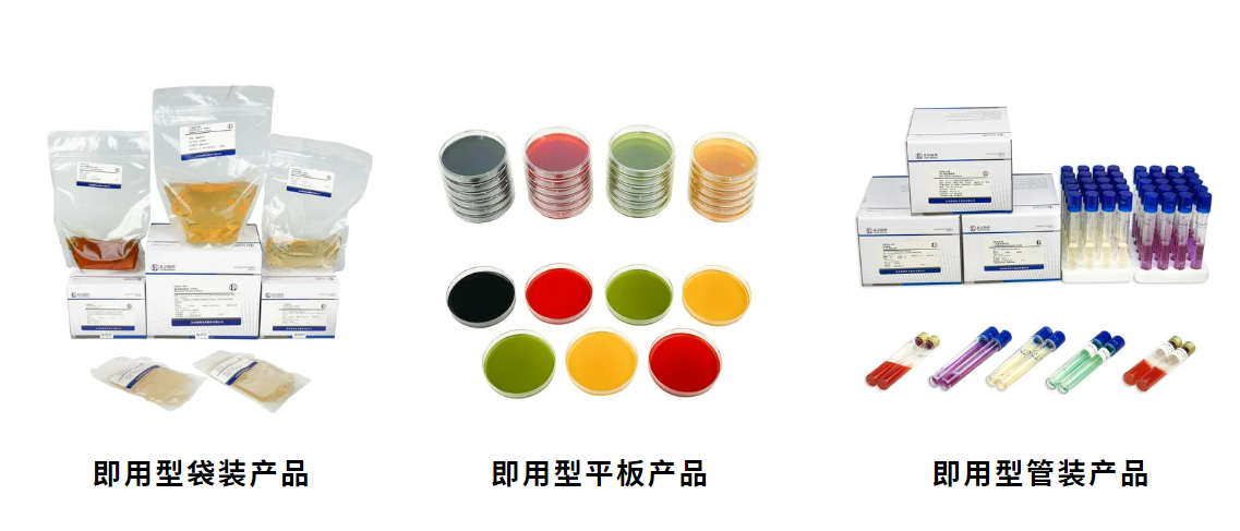 北京陸橋邀請您參加第六屆食品微生物標準與技術(shù)應(yīng)用大會 (2025年5月·北京) 北京陸橋邀請您參加第六屆食品微生物標準與技術(shù)應(yīng)用大會 (2025年5月·北京)