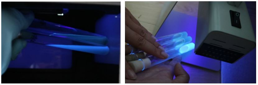 GB 4789.38-2025《食品安全國家標(biāo)準(zhǔn) 食品微生物學(xué)檢驗(yàn) 大腸埃希氏菌計(jì)數(shù)》解讀 GB 4789.38-2025《食品安全國家標(biāo)準(zhǔn) 食品微生物學(xué)檢驗(yàn) 大腸埃希氏菌計(jì)數(shù)》解讀