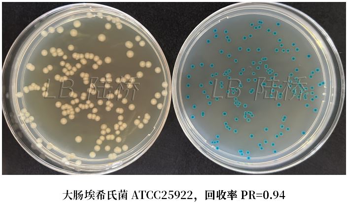 GB 4789.38-2025《食品安全國家標(biāo)準(zhǔn) 食品微生物學(xué)檢驗(yàn) 大腸埃希氏菌計(jì)數(shù)》解讀 GB 4789.38-2025《食品安全國家標(biāo)準(zhǔn) 食品微生物學(xué)檢驗(yàn) 大腸埃希氏菌計(jì)數(shù)》解讀