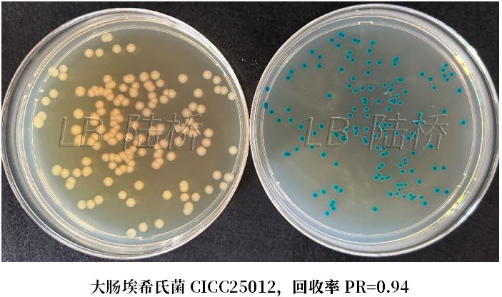 GB 4789.38-2025《食品安全國家標(biāo)準(zhǔn) 食品微生物學(xué)檢驗(yàn) 大腸埃希氏菌計(jì)數(shù)》解讀 GB 4789.38-2025《食品安全國家標(biāo)準(zhǔn) 食品微生物學(xué)檢驗(yàn) 大腸埃希氏菌計(jì)數(shù)》解讀