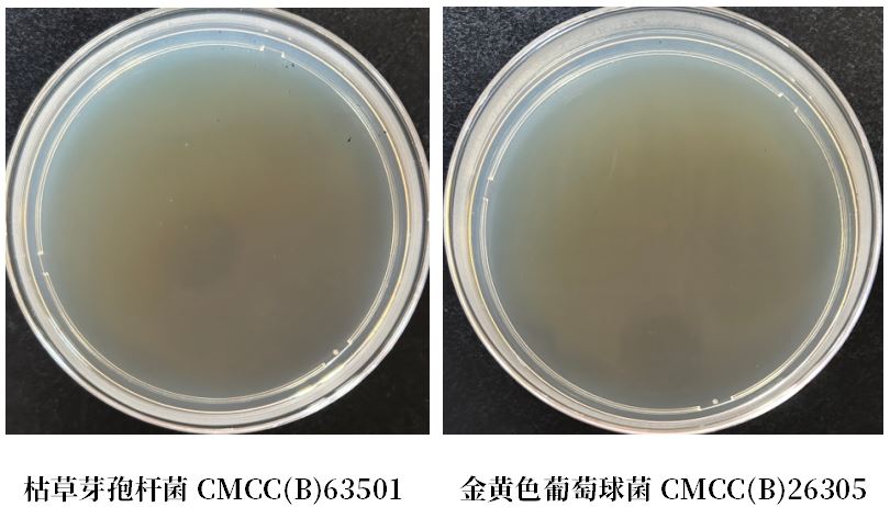 GB 4789.38-2025《食品安全國家標(biāo)準(zhǔn) 食品微生物學(xué)檢驗(yàn) 大腸埃希氏菌計(jì)數(shù)》解讀 GB 4789.38-2025《食品安全國家標(biāo)準(zhǔn) 食品微生物學(xué)檢驗(yàn) 大腸埃希氏菌計(jì)數(shù)》解讀