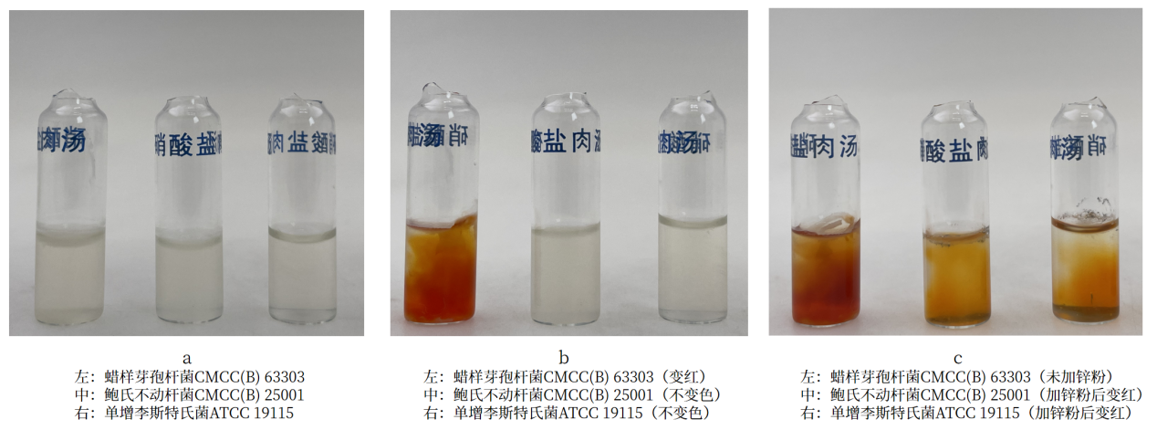 細(xì)菌生化實(shí)驗(yàn)之硝酸鹽還原實(shí)驗(yàn)解析