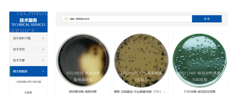 【技術(shù)干貨匯總】2025年度常見(jiàn)技術(shù)問(wèn)題大盤(pán)點(diǎn)