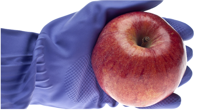 北京陸橋邀您參加2024 食品安全與檢測技術創(chuàng)新論壇，共同探討GB4789.28-2024