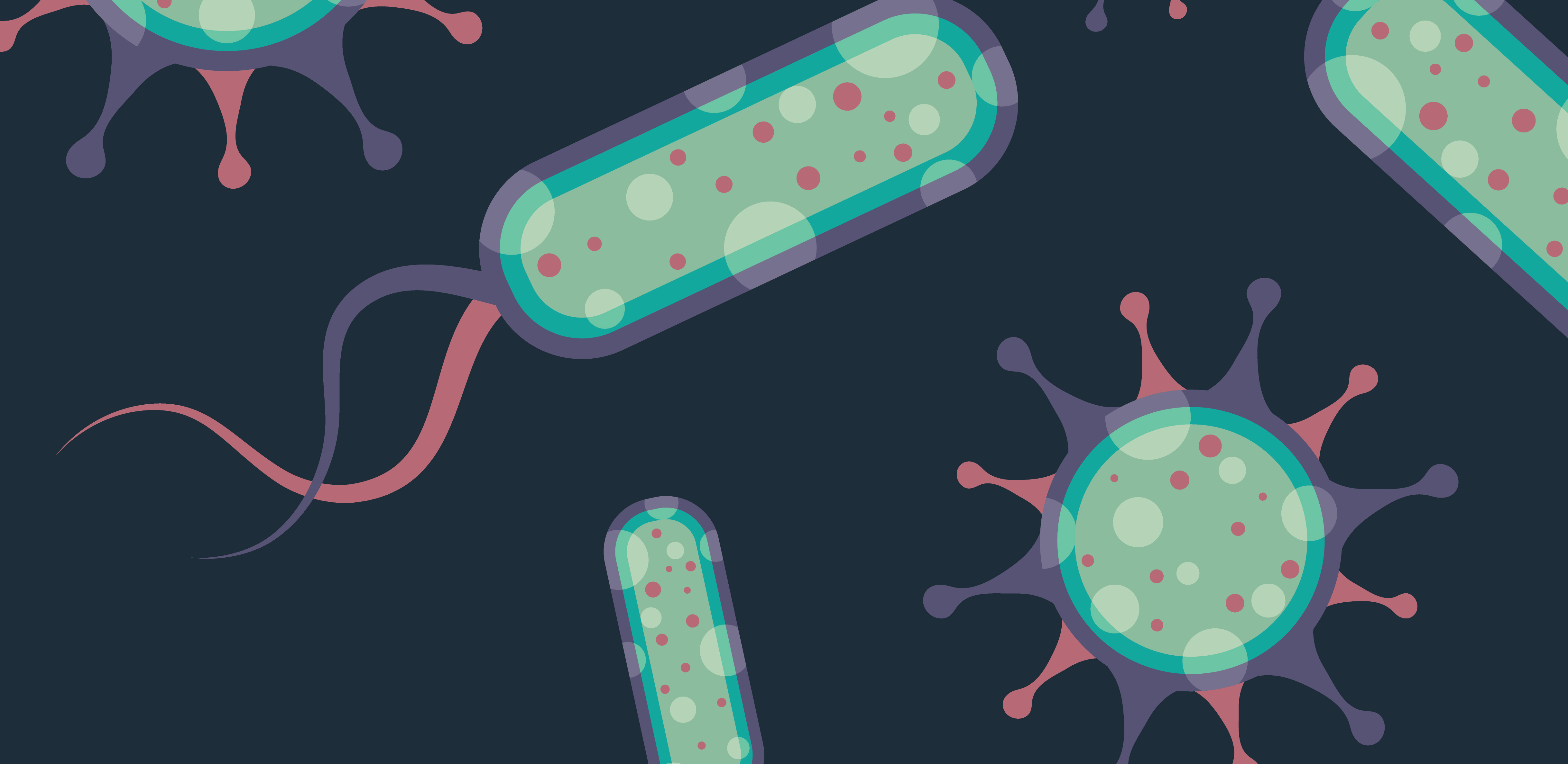 誰是芽胞桿菌中的“運(yùn)動(dòng)健將”？