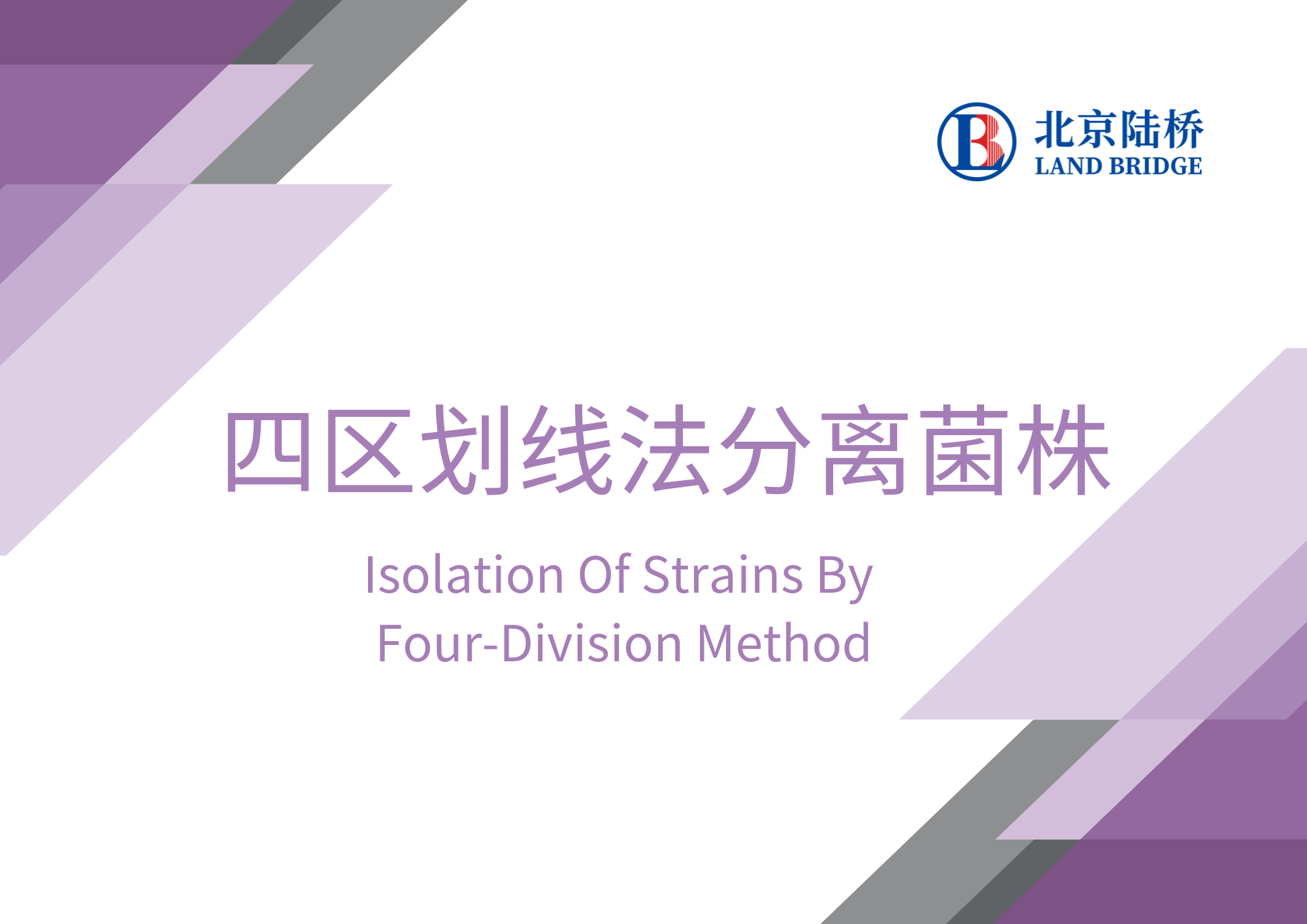 四區(qū)劃線法分離菌株