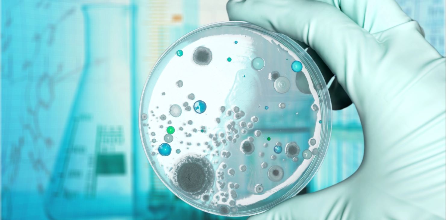 【技術(shù)干貨匯總】2025年度常見技術(shù)問題大盤點